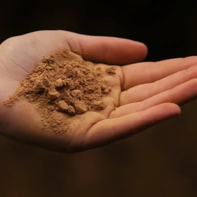 Hand holding a small amount of wild cacao powder