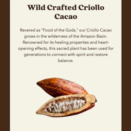 Cacao bean with text about Wild Crafted Criollo Cacao on a brown background