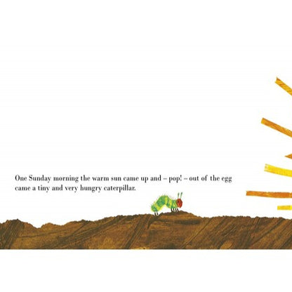 Illustration of a sun with a face rising from the ground, with text about a caterpillar.